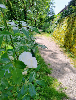 photo,france