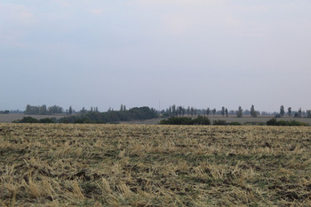 photo,ukraine