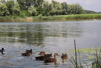 photo,ukraine