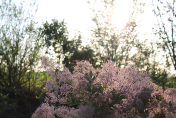 photo,ukraine