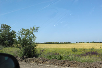 photo,ukraine
