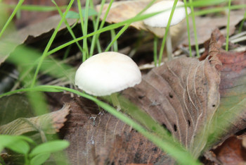 photo,ukraine