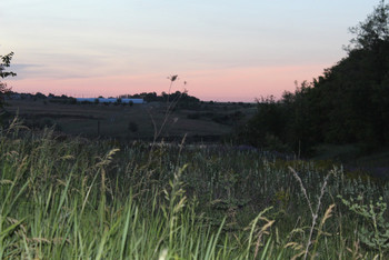 photo,ukraine