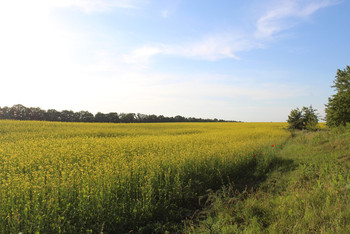 photo,ukraine