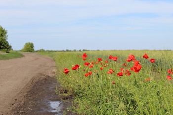 photo,ukraine