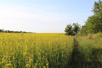 photo,ukraine