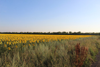 photo,ukraine