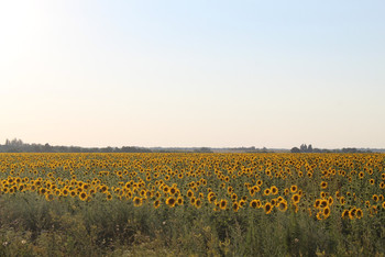 photo,ukraine