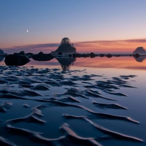 cape alava landscape