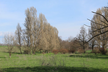 photo,ukraine