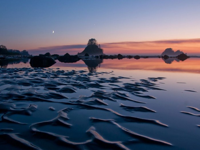 cape alava landscape