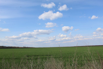 photo,ukraine