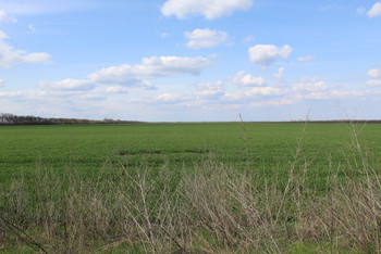 photo,ukraine